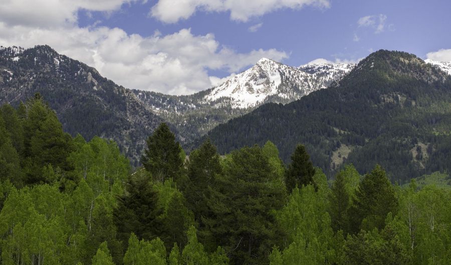 Lot 2 MININGER RD, Alpine, WY 83128 - 0 Beds, 0 Bath