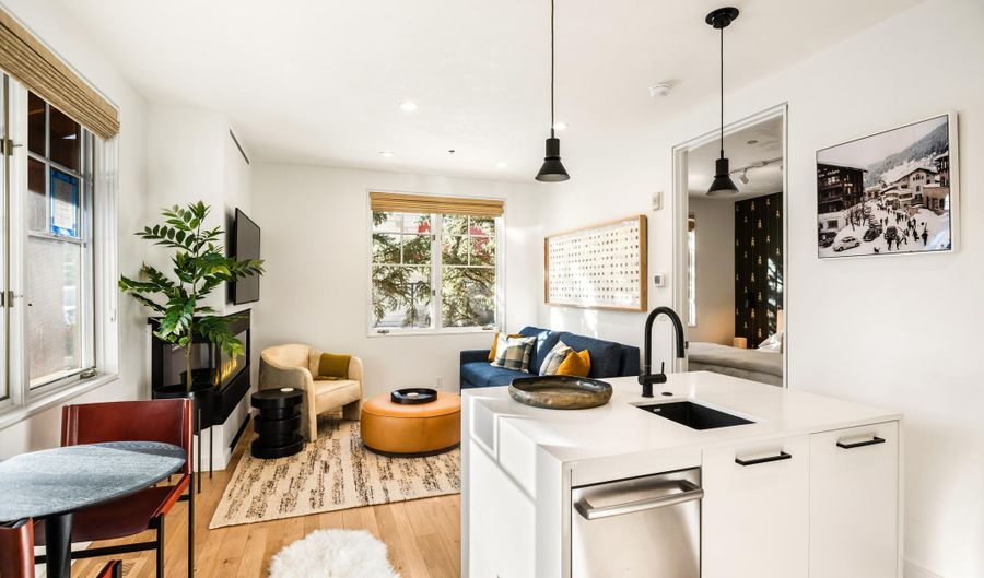 501 W Main St A101, Aspen, CO 81611 - 1 Beds, 1 Bath