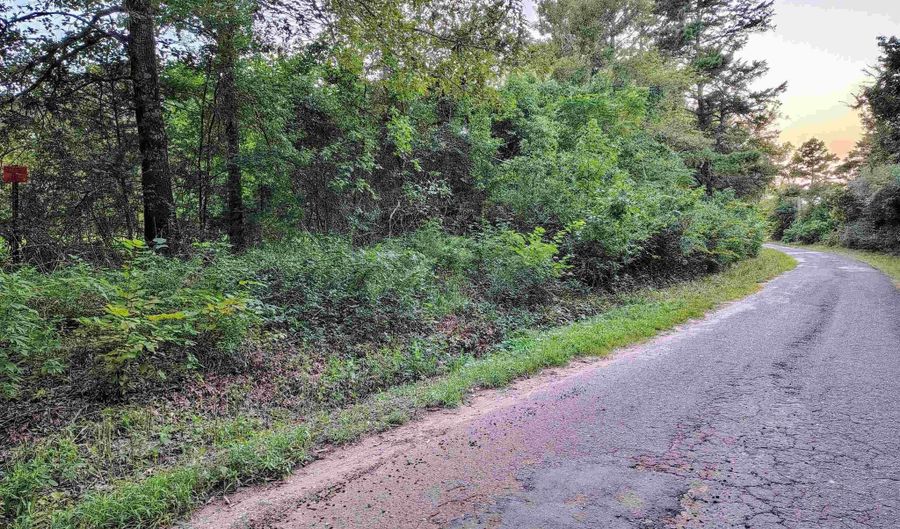 9751 Ocelot, Gilmer, TX 75644 - 0 Beds, 0 Bath