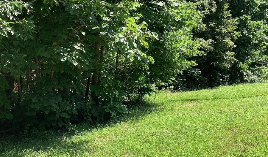 951 County Road 206, Alton, MO 65606 - 2 Beds, 2 Bath