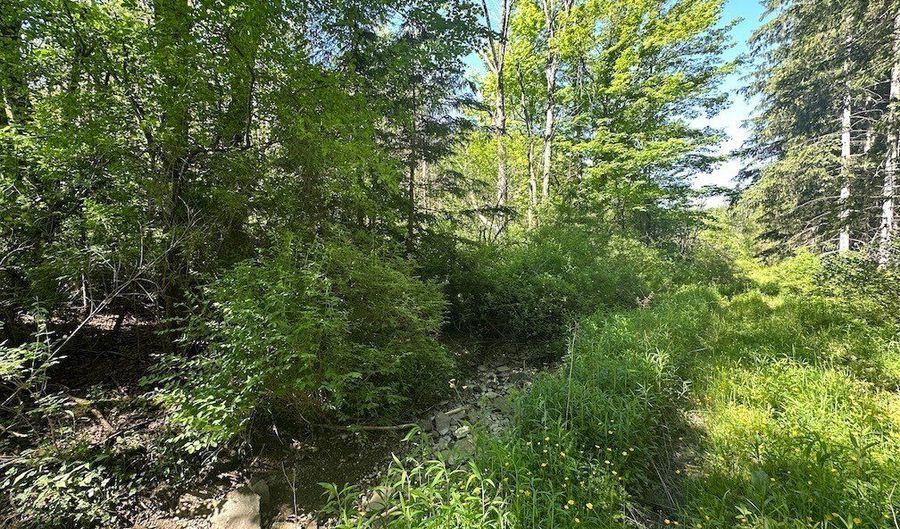 Townline Road, Angelica, NY 14709 - 0 Beds, 0 Bath