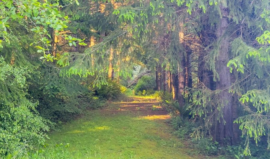 Seven Mile Rd 2100, Bandon, OR 97411 - 0 Beds, 0 Bath