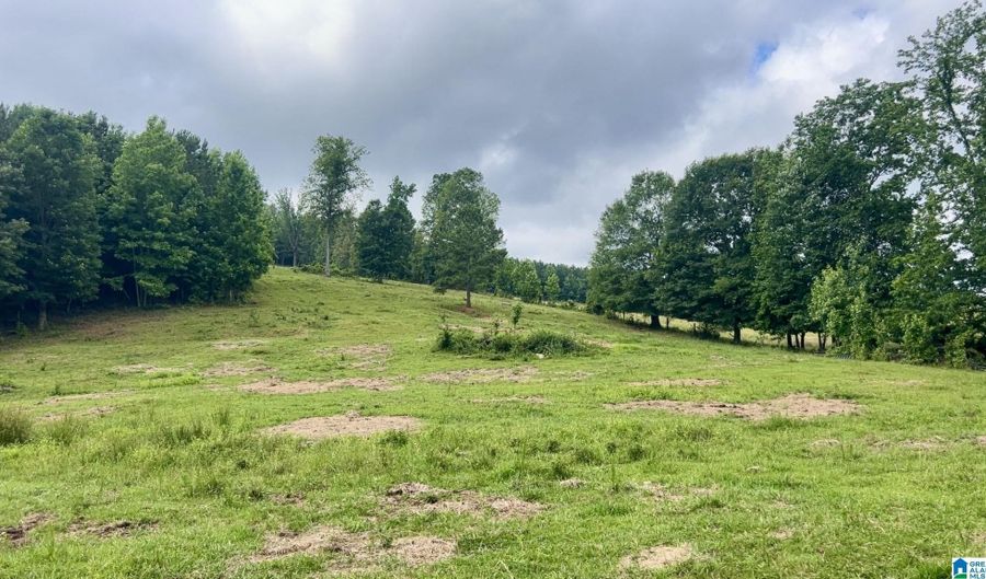 988 MINES Rd 100, Ashland, AL 36251 - 0 Beds, 0 Bath