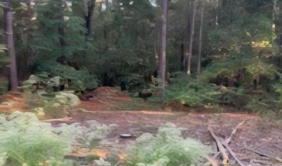 35 Simmons Dr, Camden, SC 29020 - 0 Beds, 0 Bath