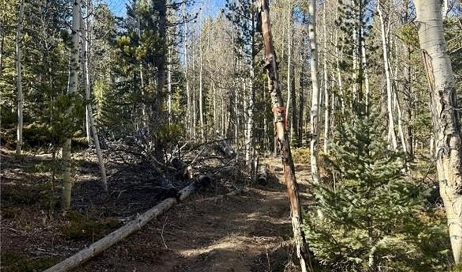 235 WILLOW Ln, Alma, CO 80440 - 0 Beds, 0 Bath