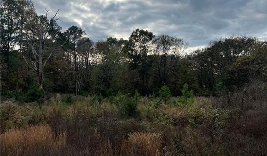 Leonard Avenue, Albemarle, NC 28001 - 0 Beds, 0 Bath