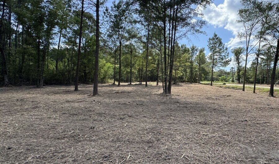 0 LA-40 Tract 1, Albany, LA 70711 - 0 Beds, 0 Bath