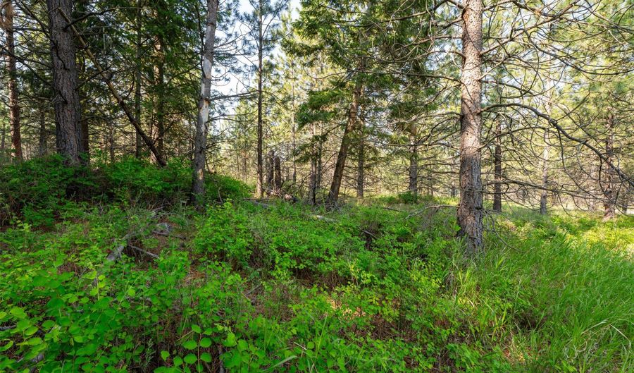 23400 Us Highway 93 N, Arlee, MT 59821 - 0 Beds, 0 Bath