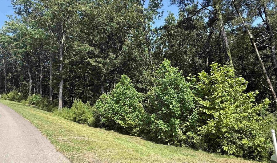 Lot 115 Boathouse Drive, Guntersville, AL 35976 - 0 Beds, 0 Bath