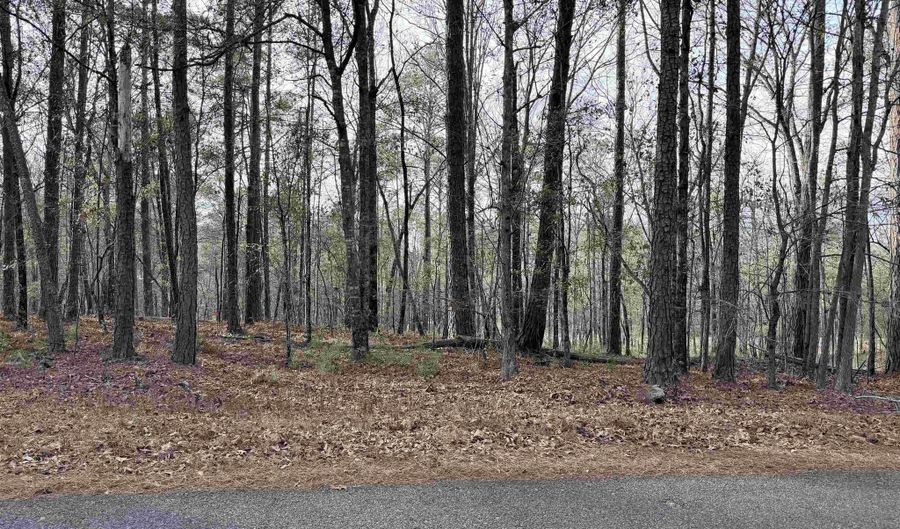 RENFROE ROAD lot 5, Alpine, AL 35014 - 0 Beds, 0 Bath