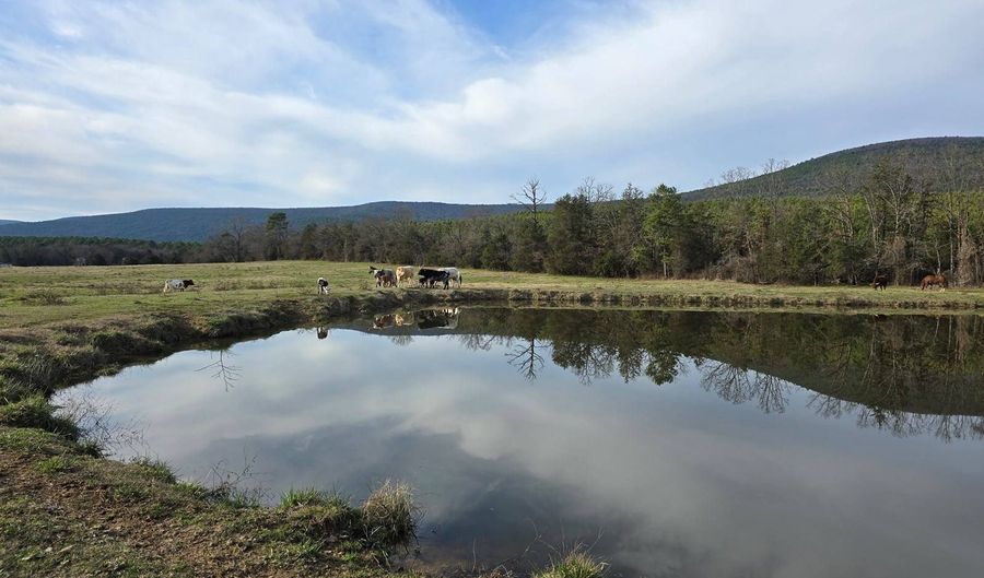 01 TBD Bates Arkansas, Bates, AR 72958 - 0 Beds, 0 Bath