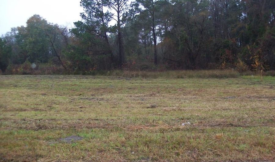 LOT 1 Thelma Street aka Johnson St, Willacoochee, GA 31650 - 0 Beds, 0 Bath