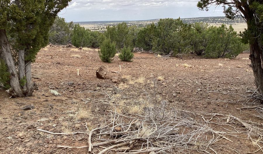 Xxx Stanford Drive 72, Concho, AZ 85924 - 0 Beds, 0 Bath