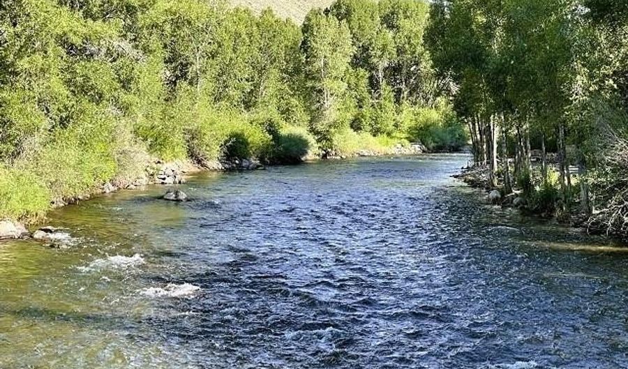 209 Deer Path Ln Lot 9, Almont, CO 81230 - 3 Beds, 3 Bath