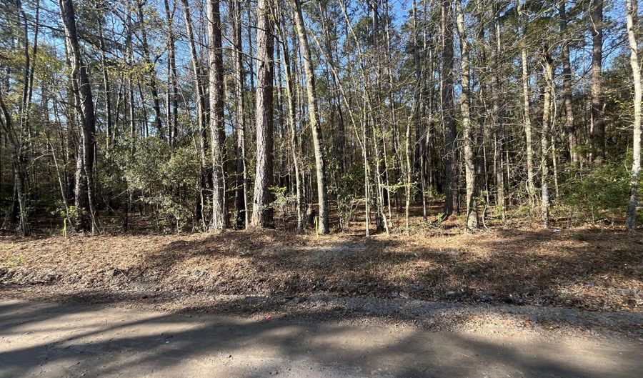 Old Military Road lot # 3, Adams Run, SC 29426 - 0 Beds, 0 Bath