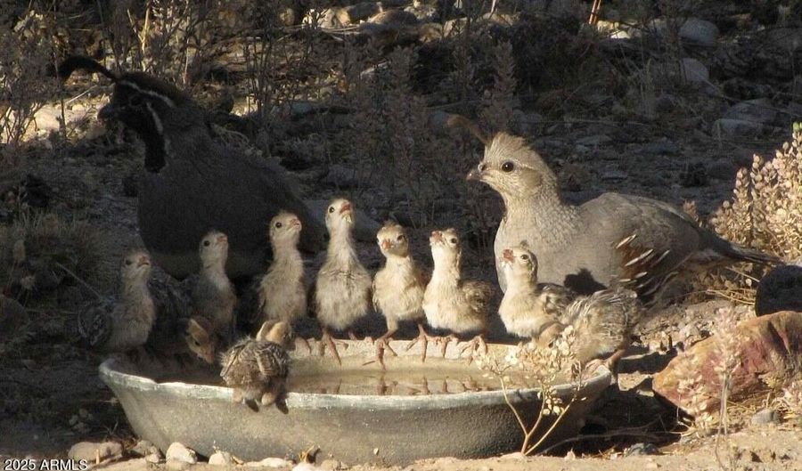 8619 E SILVER SADDLE Dr, Carefree, AZ 85377 - 3 Beds, 2 Bath