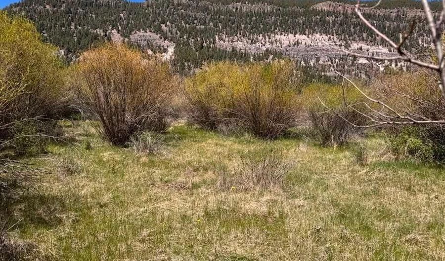 Cottonwood Drive lot 48, Antonito, CO 81120 - 0 Beds, 0 Bath