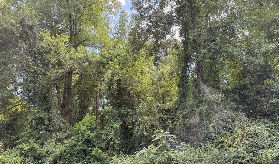 E Williams Street lot 3, Autryville, NC 28318 - 0 Beds, 0 Bath