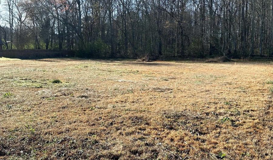 68 Acres Eddy Scant City Rd, Arab, AL 35759 - 0 Beds, 0 Bath