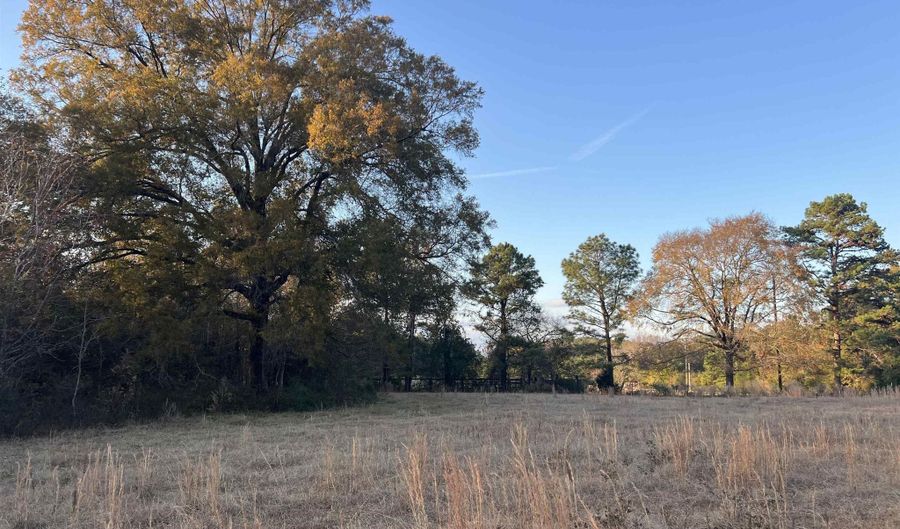 11 Acres RISER MILL ROAD Lot 11 Acres, Alpine, AL 35014 - 0 Beds, 0 Bath