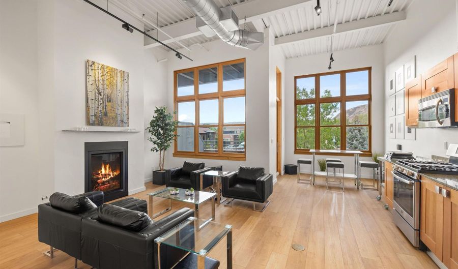 231 Robinson St 218, Basalt, CO 81621 - 2 Beds, 2 Bath