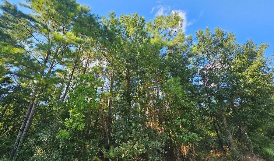 NHN Jordan River Dr, Bay St. Louis, MS 39520 - 0 Beds, 0 Bath