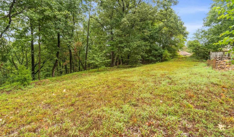 1073 Mountain Side Cv, Alexander, AR 72002 - 4 Beds, 2 Bath