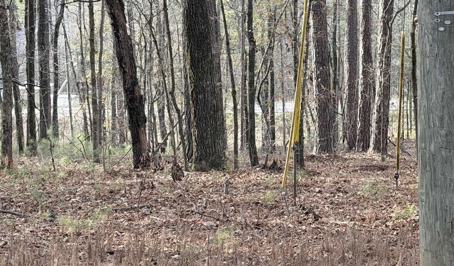 RENFROE ROAD lot 5, Alpine, AL 35014 - 0 Beds, 0 Bath