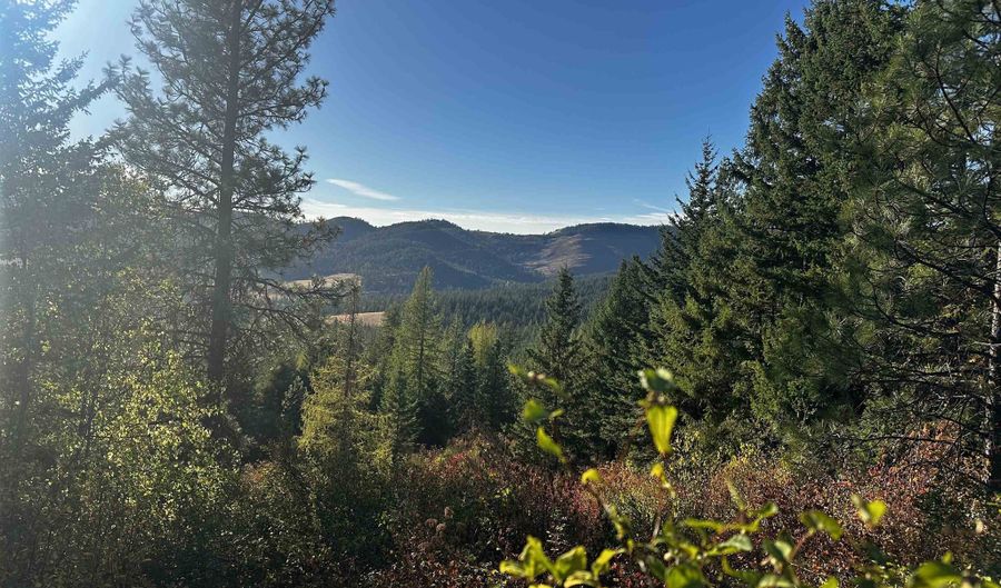 Old CC Rd, Addy, WA 99101 - 0 Beds, 0 Bath