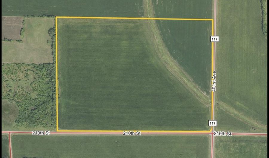 210 Th St. At 401st Ave, Arlington, MN 55307 - 0 Beds, 0 Bath