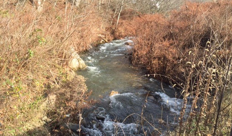 Cane Creek Cemetery Road/Staggerweed Rd, Bakersville, NC 28705 - 0 Beds, 0 Bath