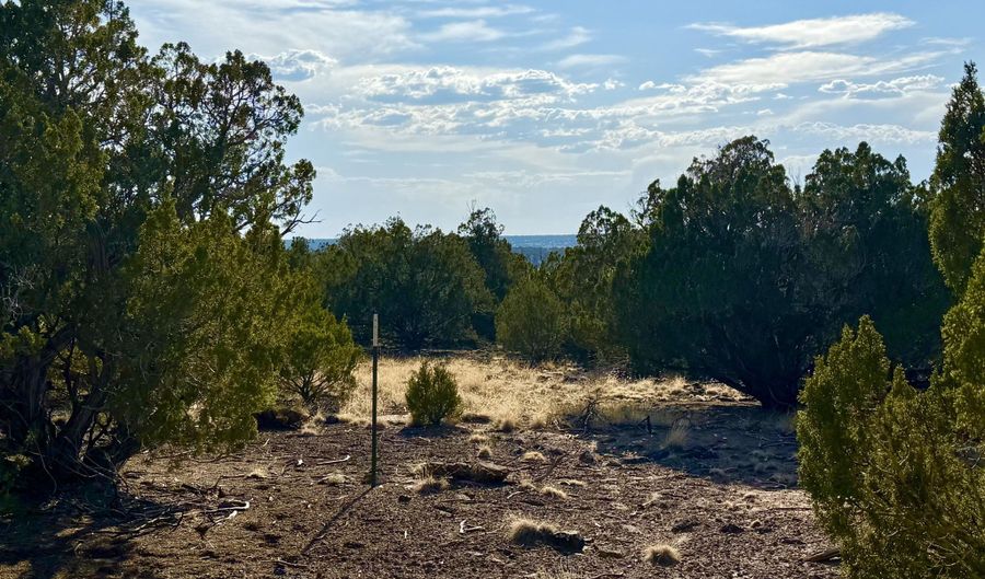 37 Co Rd N8174 10.1 Acres, Concho, AZ 85924 - 0 Beds, 0 Bath