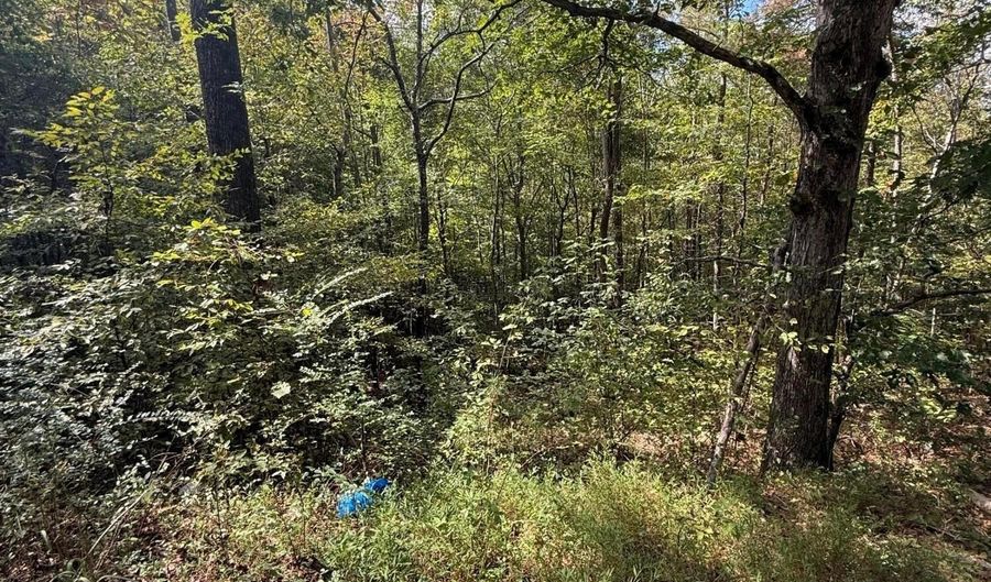 COUNTY RD 3730, Addison, AL 35540 - 0 Beds, 0 Bath