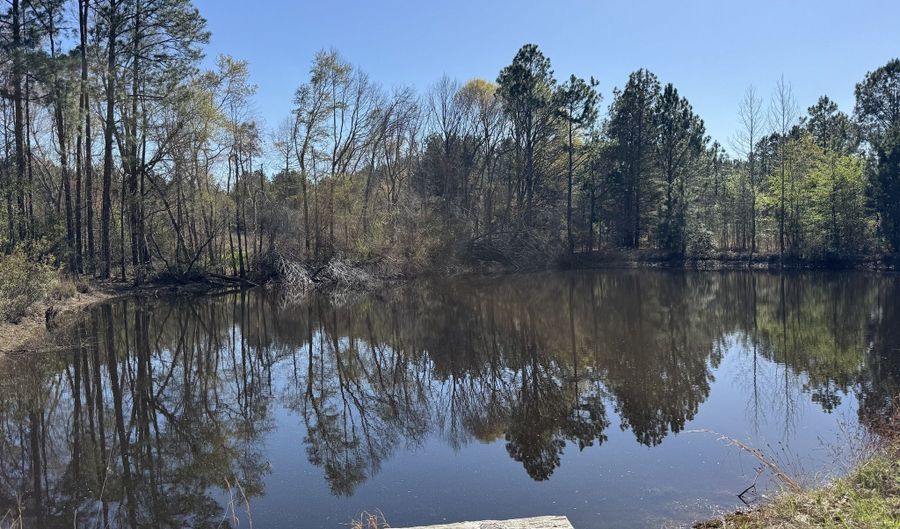 442 Fox Run Rd, Adrian, GA 31002 - 3 Beds, 2 Bath