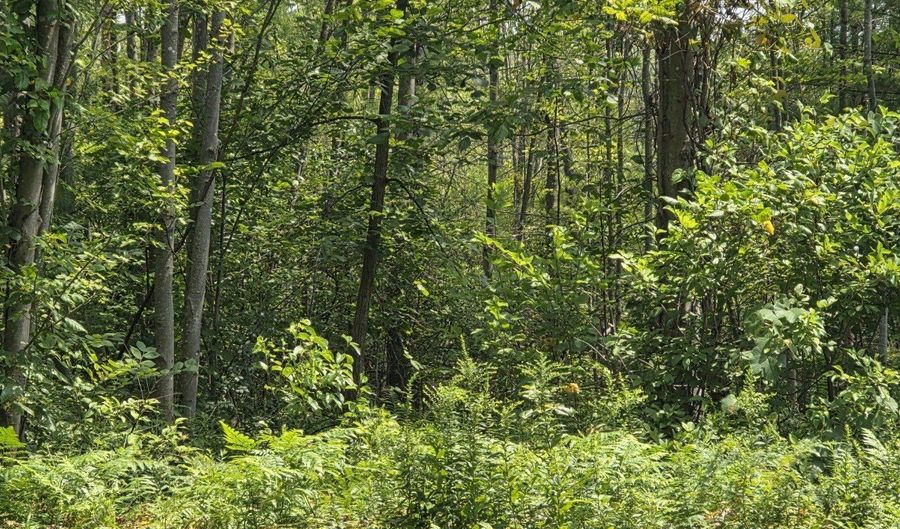 1220 Blue Hills Ave, Bloomfield, CT 06002 - 0 Beds, 0 Bath