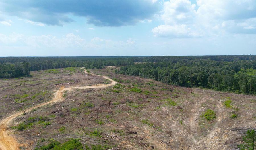 SE Cole Drive, Bogue Chitto, MS 39629 - 0 Beds, 0 Bath