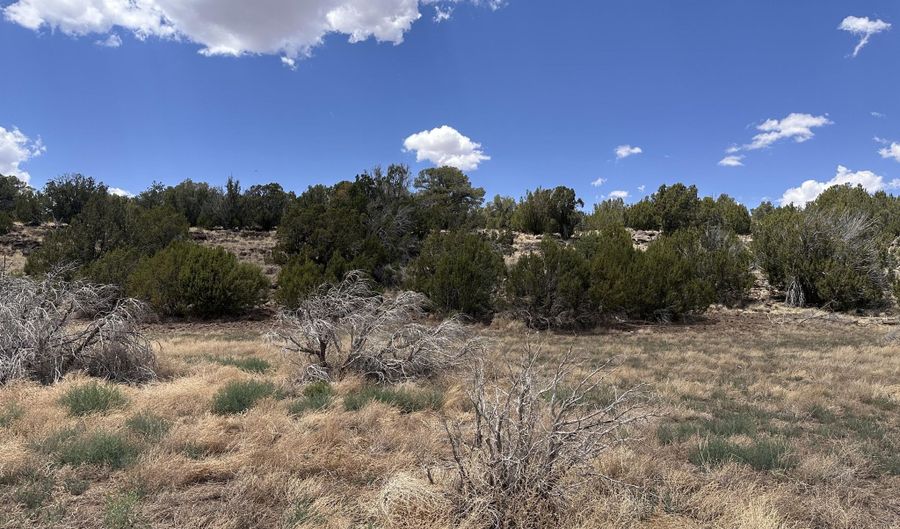 13 ACR 8122 438, Concho, AZ 85924 - 0 Beds, 0 Bath