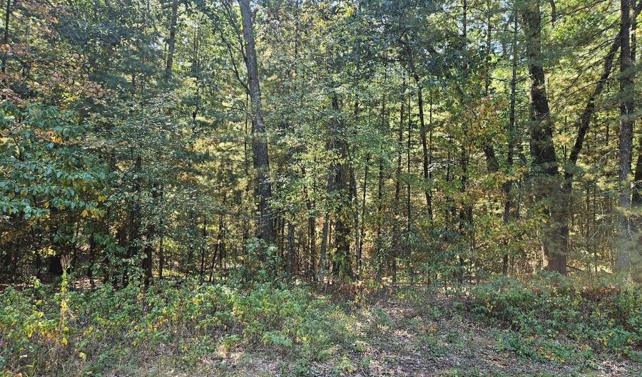 Lot 36 Wildwood Drive, Allegan, MI 49010 - 0 Beds, 0 Bath