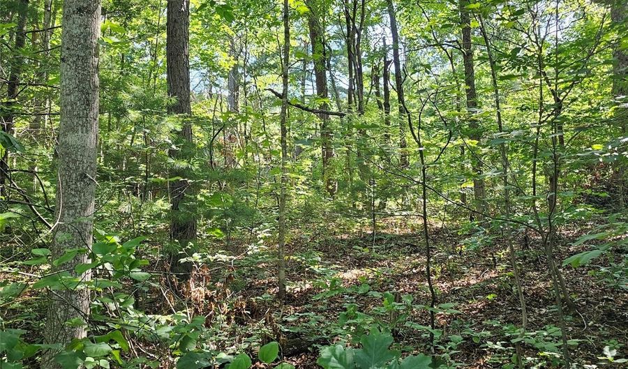 99999 Campground Rd, Asheville, NC 28805 - 0 Beds, 0 Bath