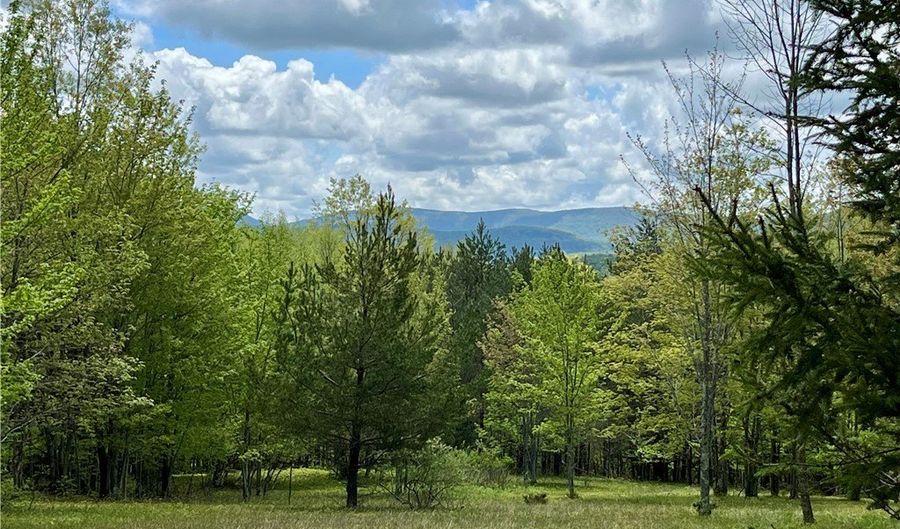 Crescent Hill Road, Andes, NY 13731 - 0 Beds, 0 Bath