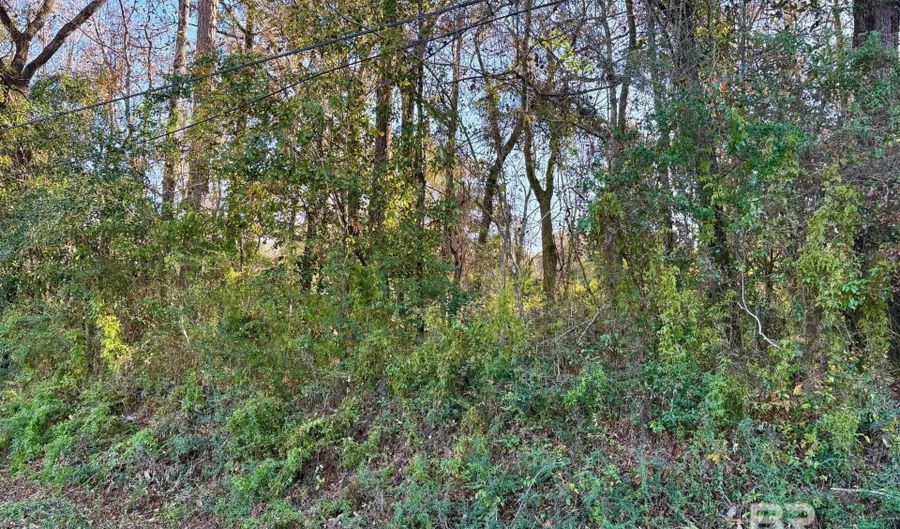 4 Brady Rd, Bay Minette, AL 36507 - 0 Beds, 0 Bath