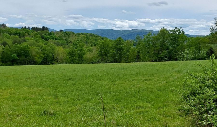 Upper Dingle Hill Road, Andes, NY 13731 - 0 Beds, 0 Bath