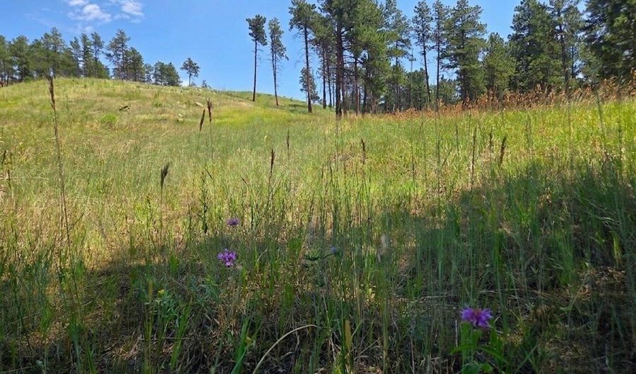 620 Davis Ranch Rd, Bellvue, CO 80512 - 0 Beds, 0 Bath