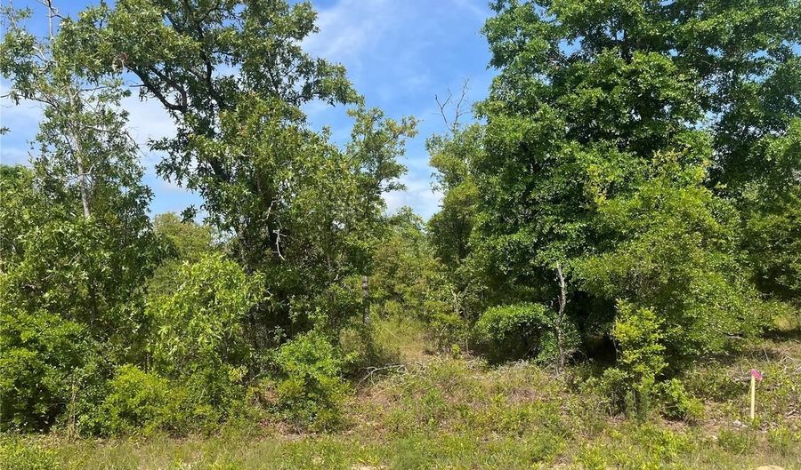 Rome Avenue, Alford, FL 32420 - 0 Beds, 0 Bath