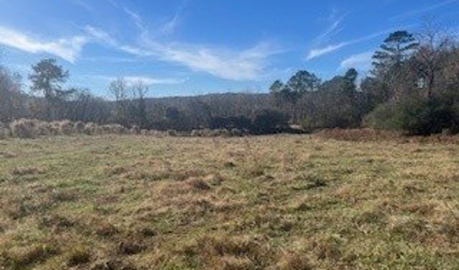 Julius Bridge Road, Ball Ground, GA 30107 - 0 Beds, 0 Bath