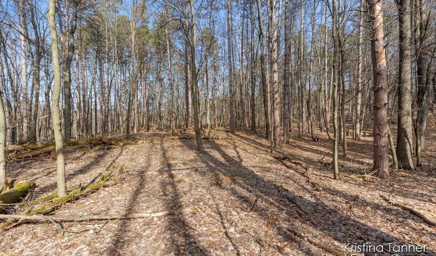 742 Honey Crk, Ada, MI 49301 - 4 Beds, null Bath