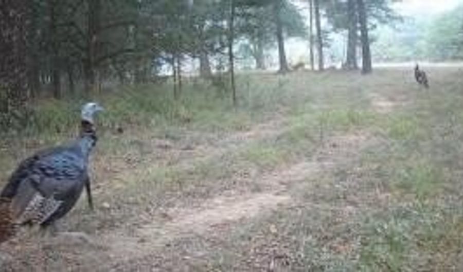 000 Hwy 105, Atkins, AR 72823 - 0 Beds, 0 Bath