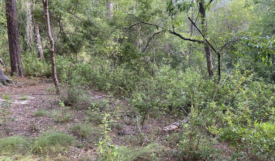Putnam Avenue lot 30, Alford, FL 32420 - 0 Beds, 0 Bath