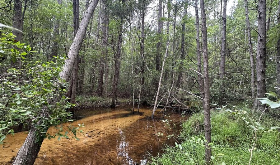 North 5 Ac Keyser Mill Road, Baker, FL 32531 - 0 Beds, 0 Bath