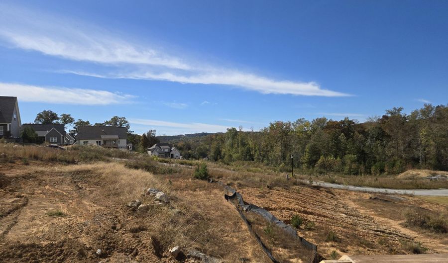 10634 Flicker Way, Apison, TN 37302 - 4 Beds, 3 Bath